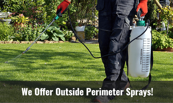 We Offer Outside Perimeter Sprays!